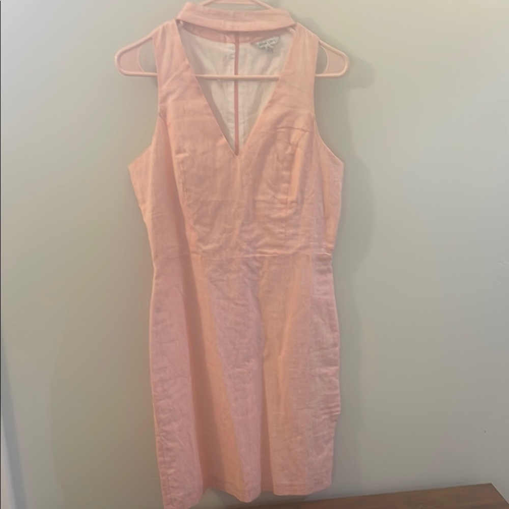 Naked Zebra Light Pink Dress